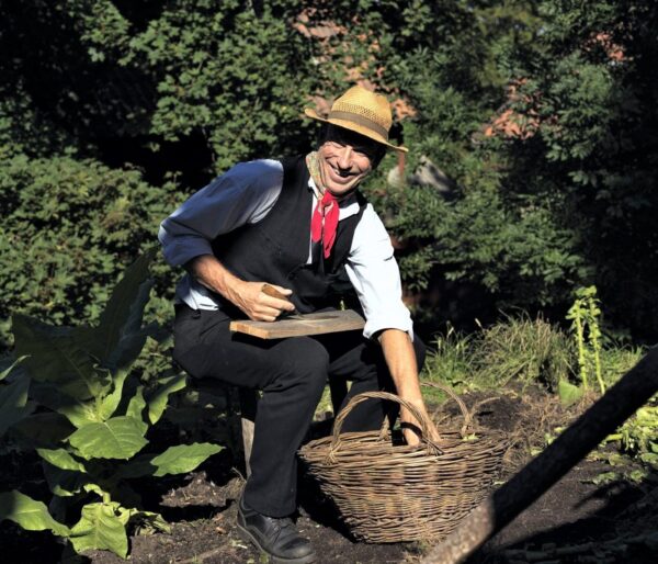 Tobaksodling på Skansen Foto Alex Hinchcliffe