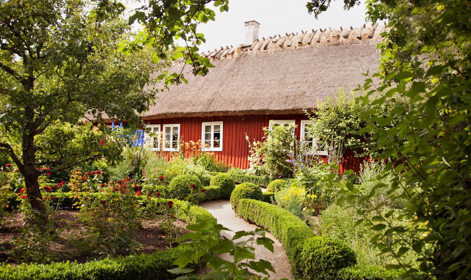 Skånegården trädgård på Skansen Foto: Marie Andersson